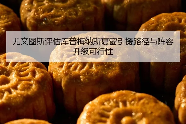 尤文图斯评估库普梅纳斯夏窗引援路径与阵容升级可行性